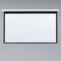 Экран Lumien 305x305см Master Control LMC-100106 1:1 рулонный (мотор)