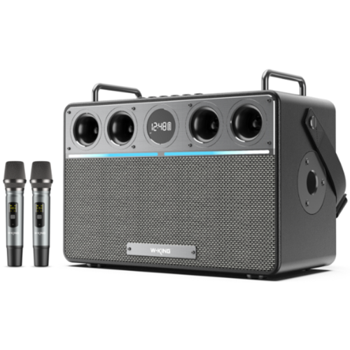 Портативная колонка W-King T16L черный