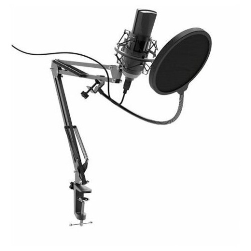 Микрофон Ritmix RDM-180 черный