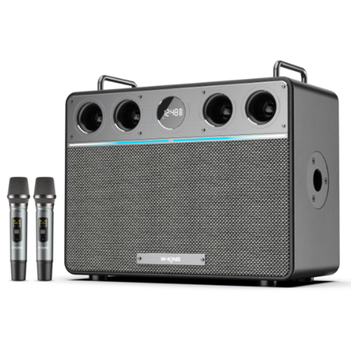 Портативная колонка W-King T16Plus черный