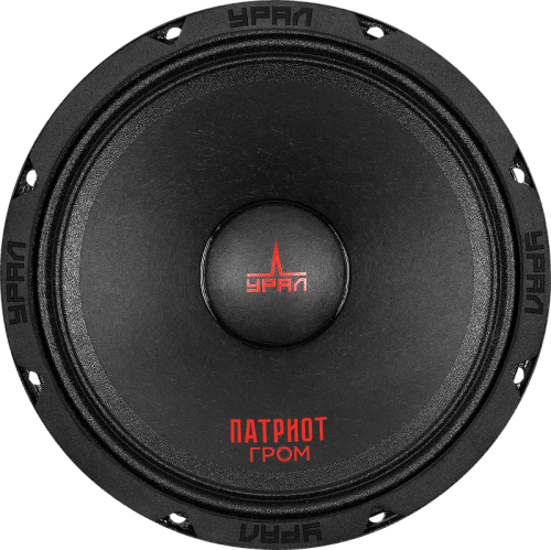 Колонки автомобильные Ural АС-ПТ165.2 Гром