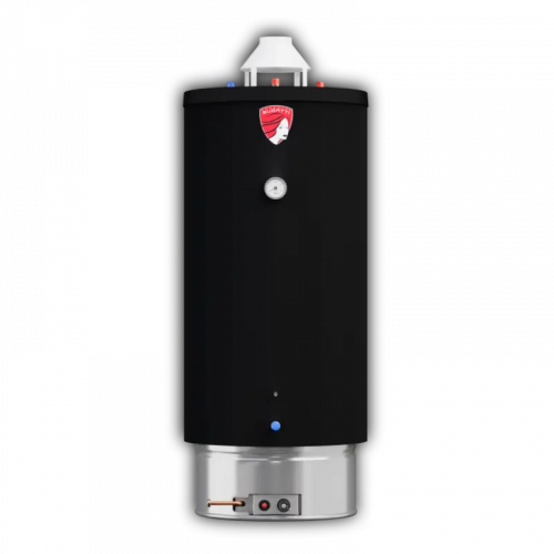 Газовый Накопительный водонагреватель Federica Bugatti Inox Wh120