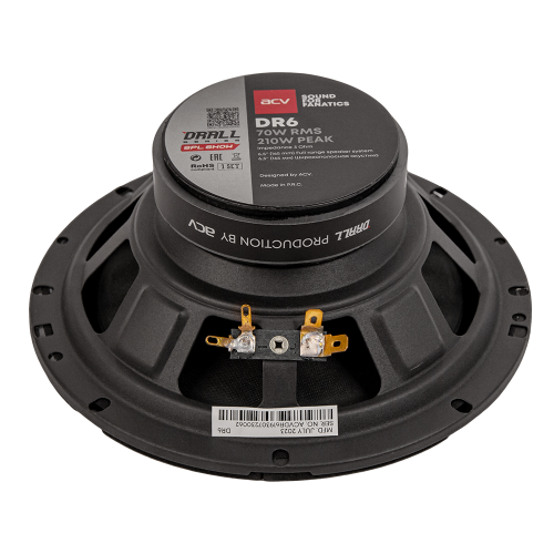 Акустика ACV DR6 Drall эстрадная 6.5"широкополосная