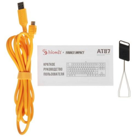 Клавиатура проводная A4Tech Bloody AT87 Renegade