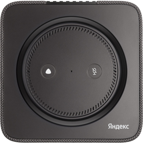 Умная колонка Яндекс.Станция Макс с Zigbee YNDX-00053 (YNDX-00053K) с Алисой +пульт Черный/black