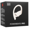 Наушники TWS Beats Powerbeats Pro бежевый